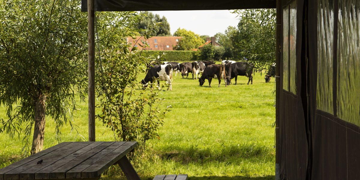 BoerenBed Hoeve Betuwe foto 2