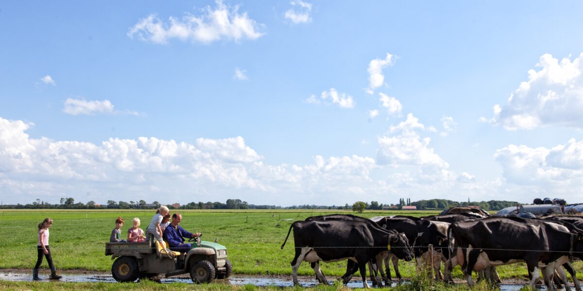 BoerenBed Zeeland foto 2