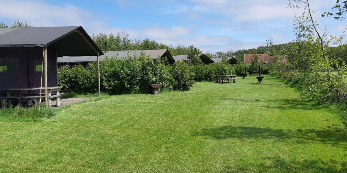 Logeren bij de de boer foto 2