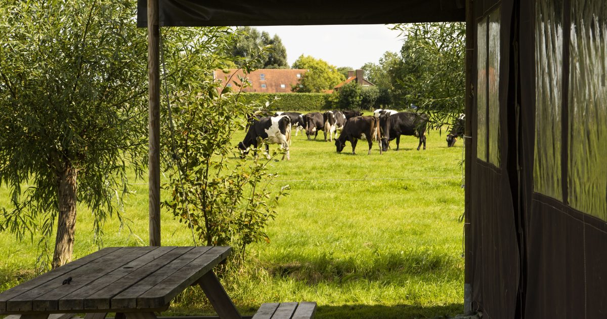 BoerenBed Hoeve Betuwe foto 1
