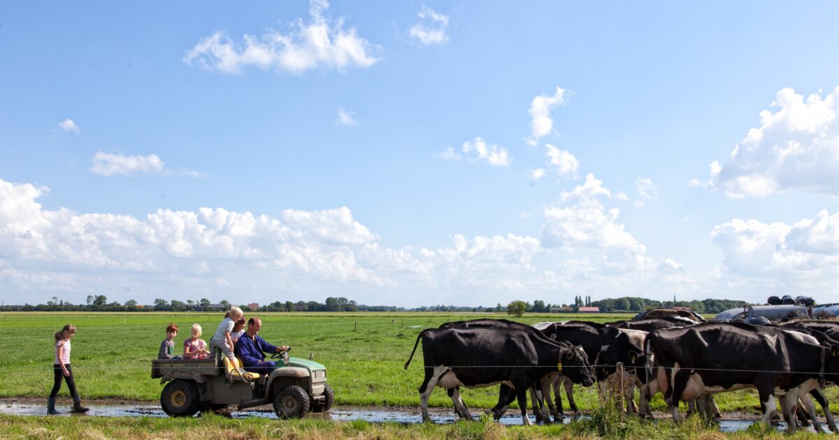 BoerenBed Zeeland foto 1