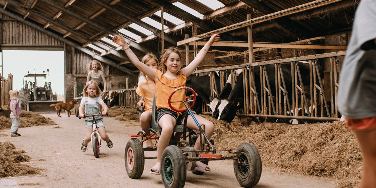 BoerenBed Botterheerd foto 2