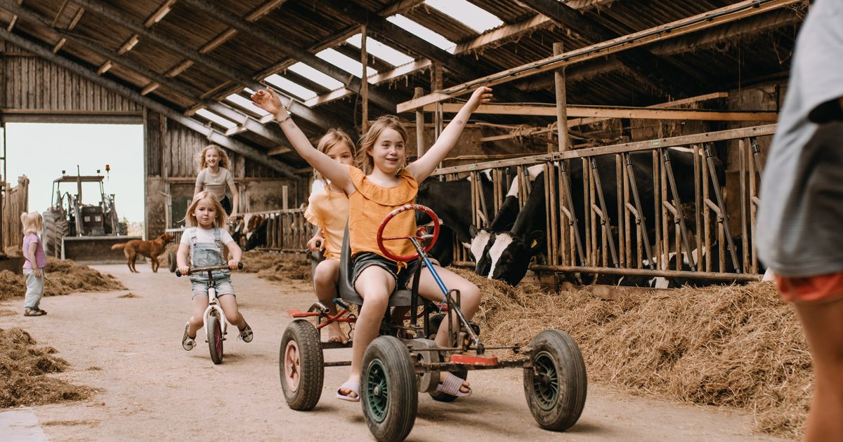 BoerenBed Botterheerd foto 1